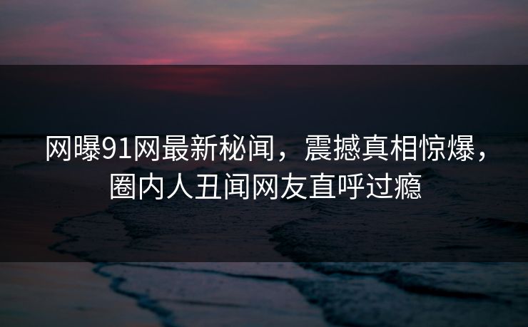 网曝91网最新秘闻，震撼真相惊爆，圈内人丑闻网友直呼过瘾