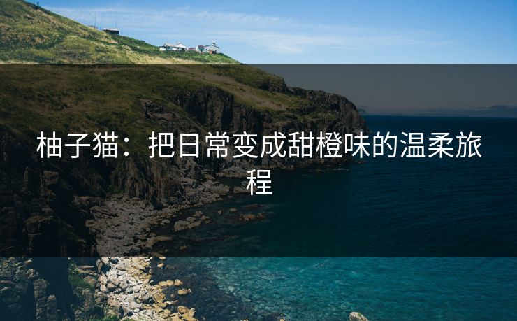 柚子猫：把日常变成甜橙味的温柔旅程