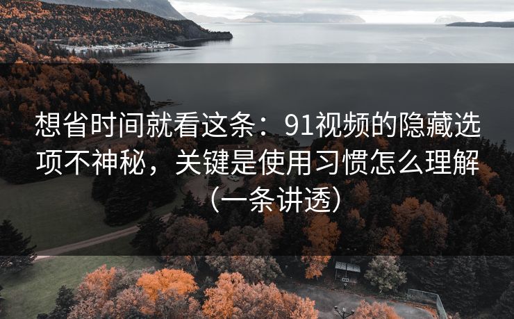 想省时间就看这条：91视频的隐藏选项不神秘，关键是使用习惯怎么理解（一条讲透）